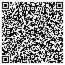 QR code with Pyles Concrete contacts