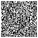 QR code with Pulver Signs contacts
