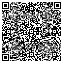QR code with Curtis Carl L & Assoc contacts