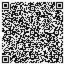 QR code with Pt Custom Cycles contacts