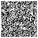 QR code with Carter Sign CO LLC contacts