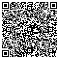 QR code with Wssems contacts