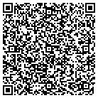 QR code with Spring Lake Cabinet Mfr contacts