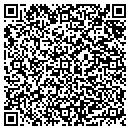 QR code with Premiere Limousine contacts