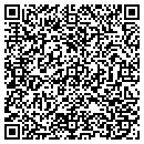 QR code with Carls Signs & More contacts