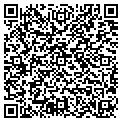 QR code with Ultimo contacts