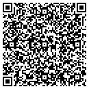 QR code with Babiak Brothers contacts