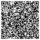 QR code with Psr Security Inc contacts