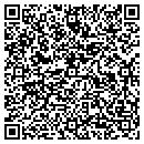 QR code with Premier Limousine contacts