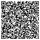 QR code with Puccillis Limo contacts