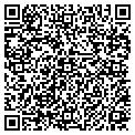 QR code with Lcg Inc contacts