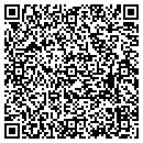 QR code with Pub Brewing contacts