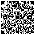 QR code with M-Core contacts