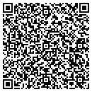 QR code with Pwnage Security Tech contacts