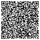 QR code with C Deleeuw Signs contacts