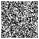 QR code with Promise Sign contacts