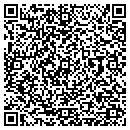QR code with Puicky Signs contacts