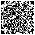 QR code with E Weisz contacts