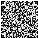 QR code with Cummins Security Inc contacts