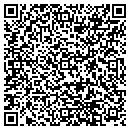 QR code with C J Tech Service LLC contacts