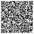 QR code with Option contacts