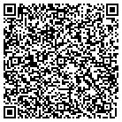 QR code with Public Image Hair Design contacts