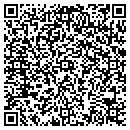 QR code with Pro Freese Jv contacts