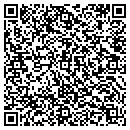 QR code with Carroll Consulting Co contacts