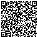 QR code with Signs contacts