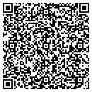 QR code with Premier Wood Care Inc contacts