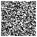 QR code with Cryogene Lab contacts
