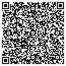 QR code with Precise Framing contacts
