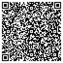 QR code with Cji Process Systems contacts
