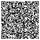 QR code with Pulse Security LLC contacts