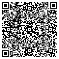 QR code with Msg Limited contacts