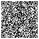 QR code with Pure Class Limousine contacts