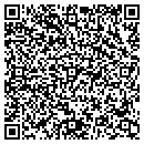 QR code with Pyper Framing Inc contacts