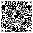 QR code with Public Strategies Inc contacts