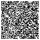 QR code with P2 Security contacts