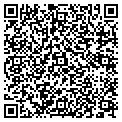 QR code with T Nails contacts