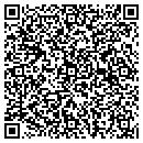 QR code with Public Securities Assn contacts