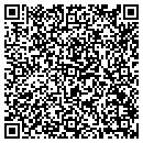 QR code with Pursuit Security contacts