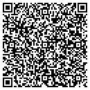 QR code with Chameleon Paintworks contacts