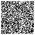 QR code with Maaco contacts