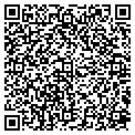 QR code with Maaco contacts