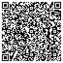 QR code with Public Works contacts