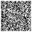 QR code with Premium Autoworks Inc contacts