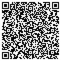 QR code with V Corp contacts