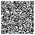 QR code with Maaco contacts