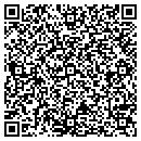 QR code with Provision Construction contacts